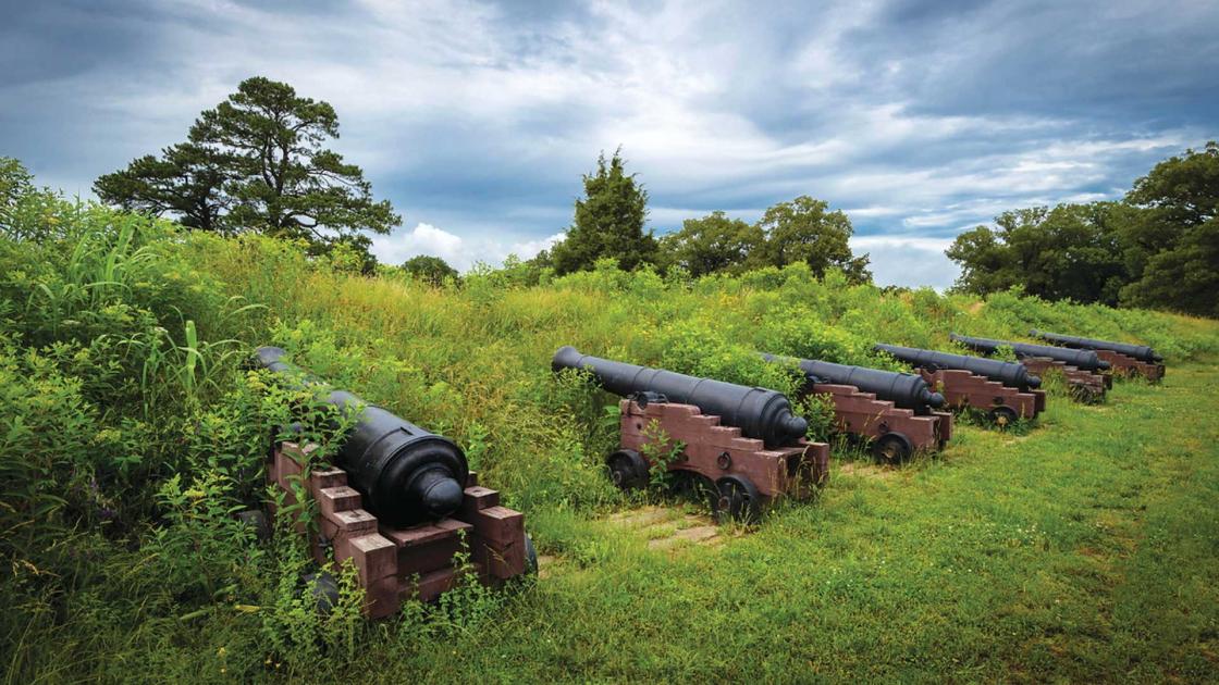 Artillery pieces at the Second Allied Siege Line 